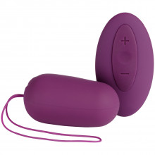 Amaysin Rechargeable Remote Control Love Egg product image 1