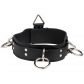 Spartacus Locking Collar Leather Collar with 3 Rings product image 1
