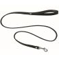 Spartacus Leather Leash for Collar
